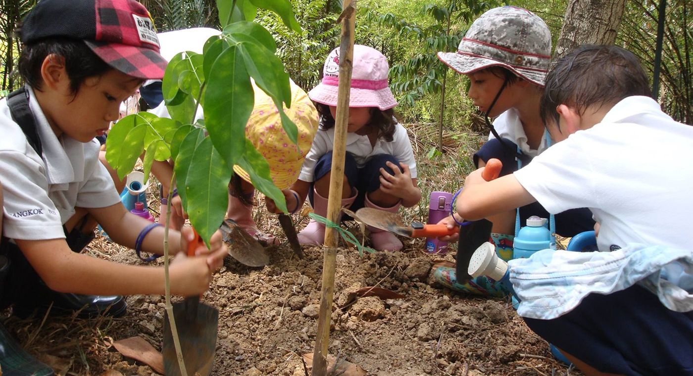 plant een boom vandaag
