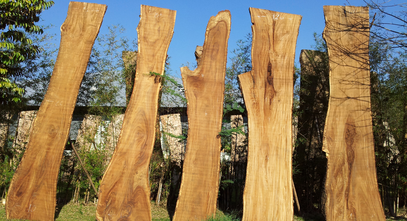 Versteend houten schutting